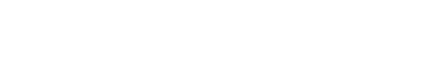 Investex